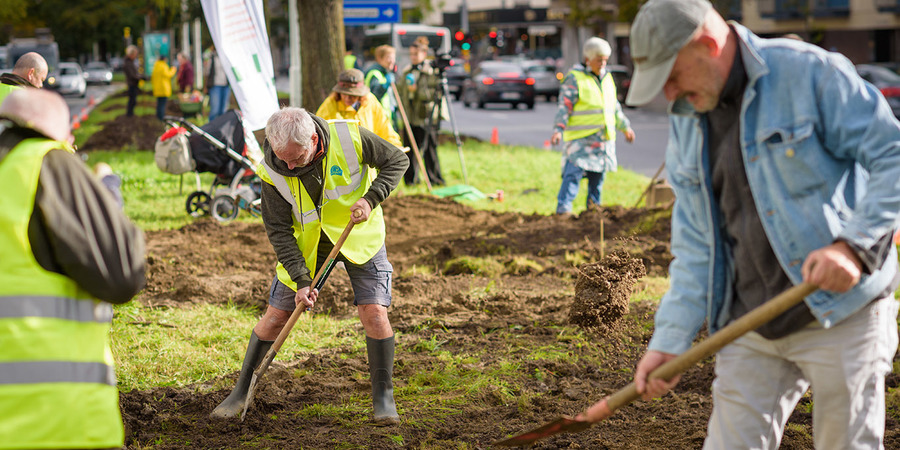 Foto van plantactie op de middenberm van de Luitenant Lippenslaan binnen het Wijklabo Betere Buurt Foto van plantactie op de middenberm van de Luitenant Lippenslaan binnen het Wijklabo Betere Buurt